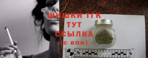 шишки Абаза