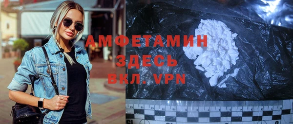 шишки Абаза