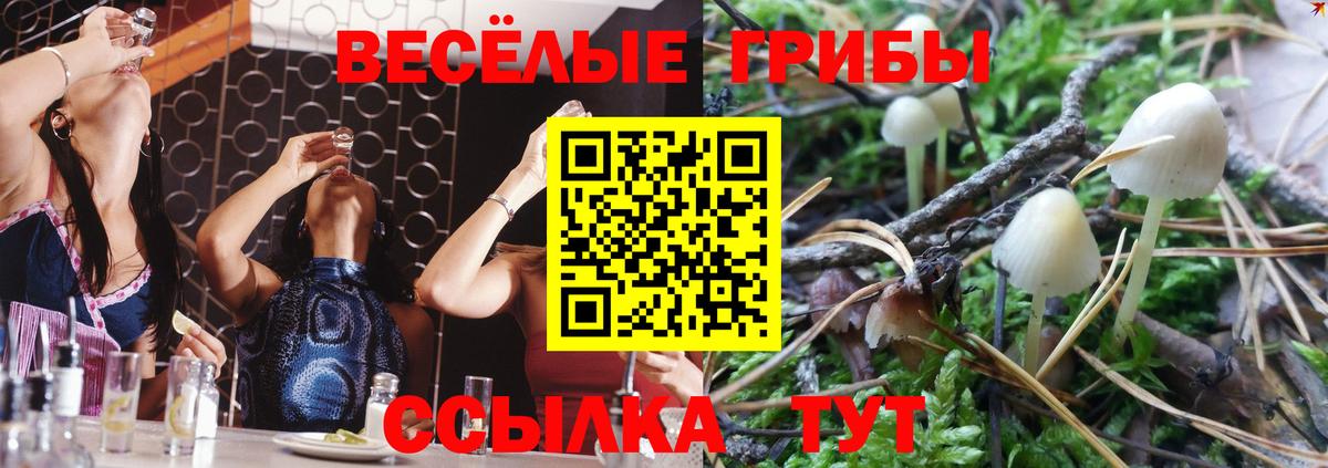 Псилоцибиновые грибы ЛСД  Галлюциногенные грибы Magic Shrooms  Александров  Вход с VPN 