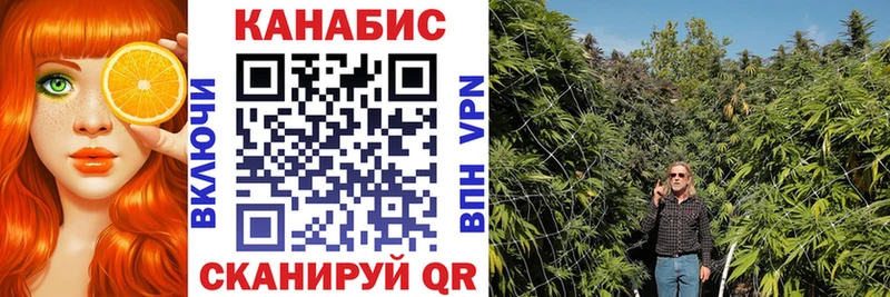 hydra как войти Александров Бошки Шишки индика