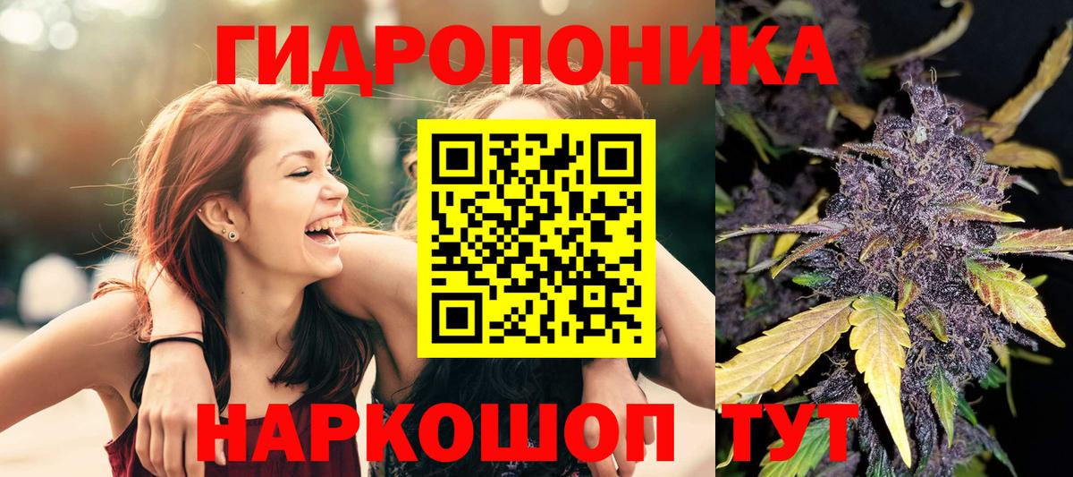Марихуана семена  Бошки Шишки SATIVA & INDICA  Александров  Вход с VPN  МАРИХУАНА индика 